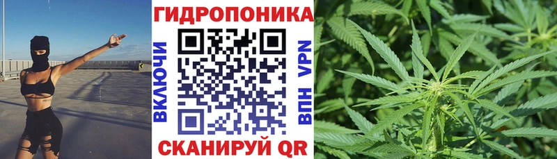 площадка какой сайт  Ленинск-Кузнецкий  Каннабис Bruce Banner 